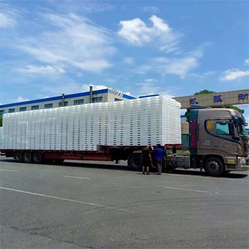 河北沧州任丘到玉林物流公司——一站式服务，让货运更轻松（玉林专线物流）